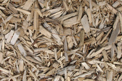 biomass boilers Glasfryn